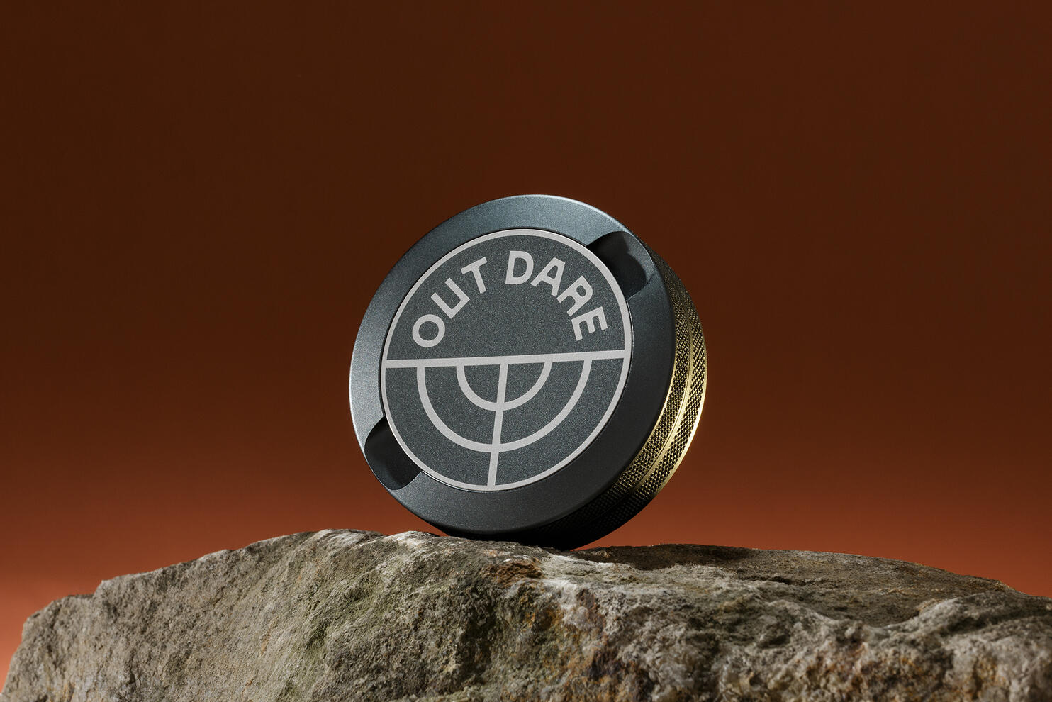 Burger with salad and tomato on a wooden background