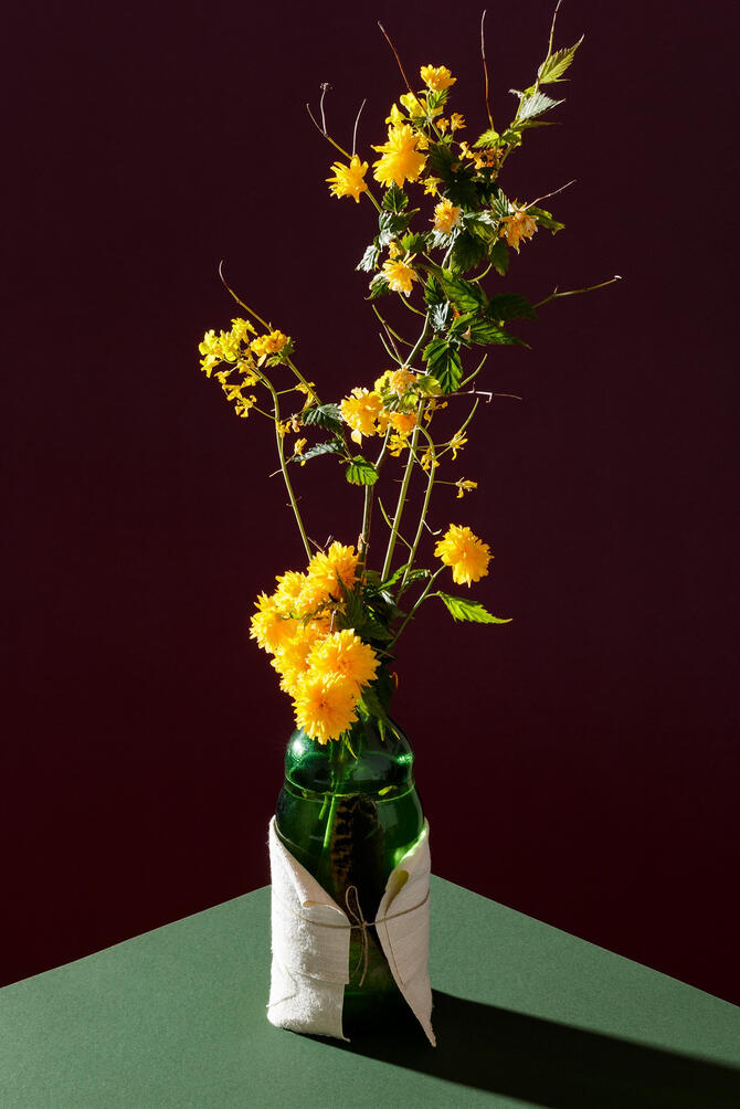 Yellow flowers in a green glass bottle on a green table with dark purple background